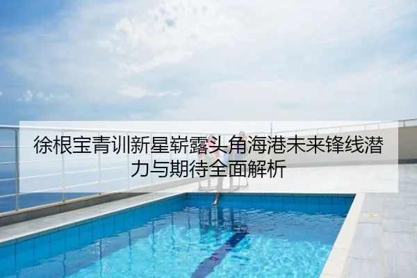 徐根宝青训新星崭露头角海港未来锋线潜力与期待全面解析